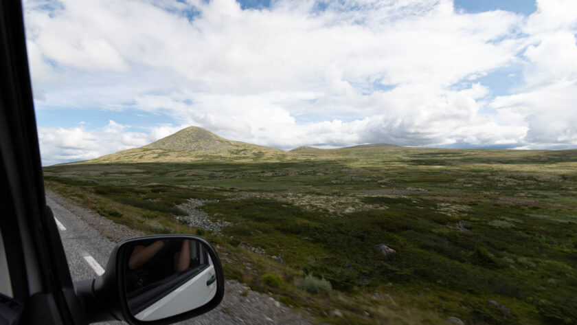 Norwegische Hocheben aus dem Auto raus fotografiert.