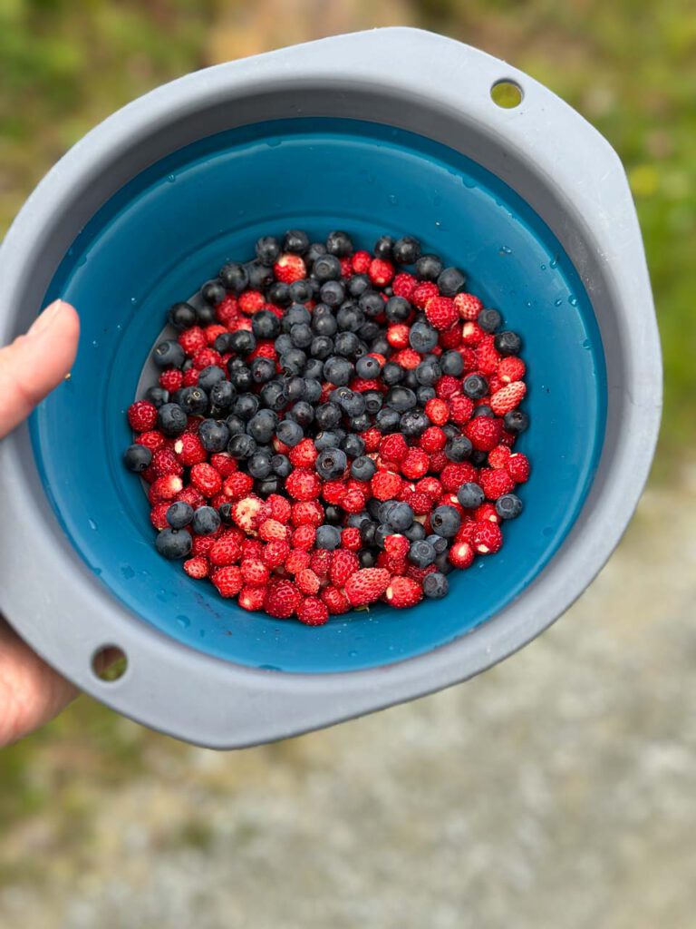 Eine Schüssel mit Walderdbeeren und Blaubeeren.