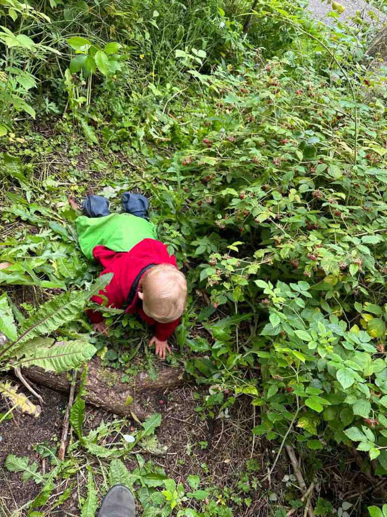 Ein Baby krabbelt im Wald.