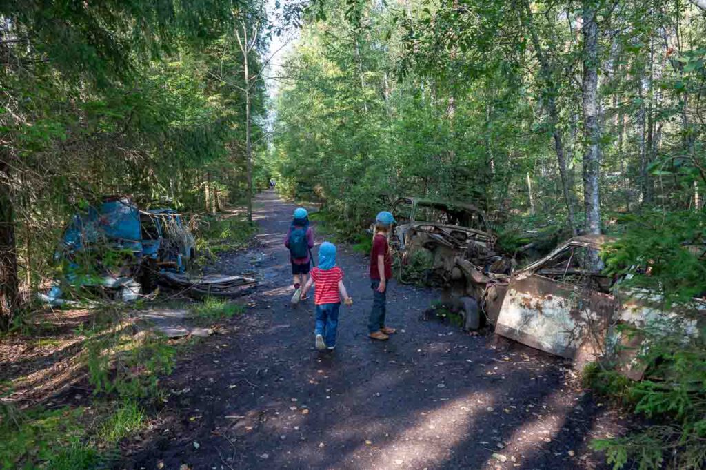 Drei Kinder gehen einen Waldweg entlang, der von verrotteten Autokarossen gesäumt wird