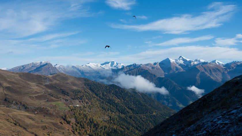 Blick auf herbstliche Berggipfel mit weißen Spitzen.